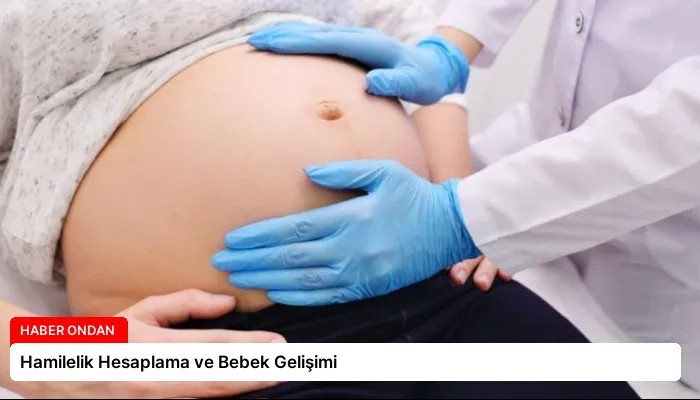 Hamilelik Hesaplama ve Bebek Gelişimi
