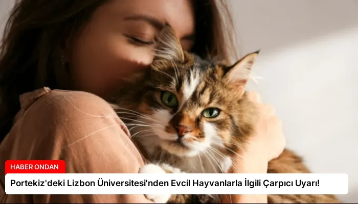 Portekiz’deki Lizbon Üniversitesi’nden Evcil Hayvanlarla İlgili Çarpıcı Uyarı!