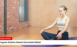 Yoganın Sindirim Sistemi Üzerindeki Etkileri