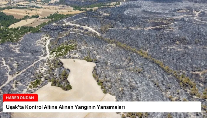 Uşak’ta Kontrol Altına Alınan Yangının Yansımaları