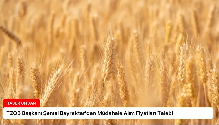 TZOB Başkanı Şemsi Bayraktar’dan Müdahale Alım Fiyatları Talebi
