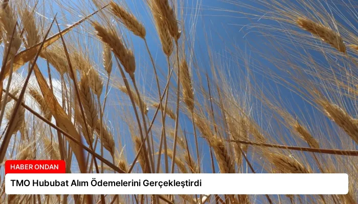 TMO Hububat Alım Ödemelerini Gerçekleştirdi