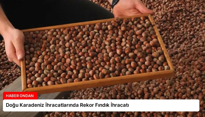 Doğu Karadeniz İhracatlarında Rekor Fındık İhracatı