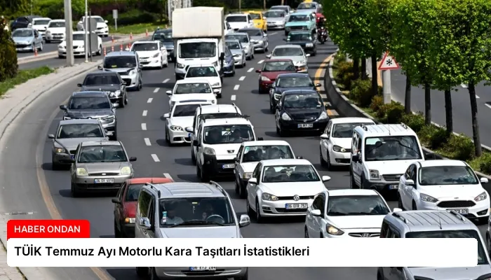 TÜİK Temmuz Ayı Motorlu Kara Taşıtları İstatistikleri