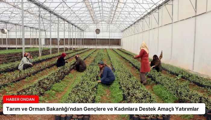 Tarım ve Orman Bakanlığı’ndan Gençlere ve Kadınlara Destek Amaçlı Yatırımlar