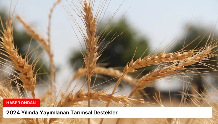 2024 Yılında Yayımlanan Tarımsal Destekler
