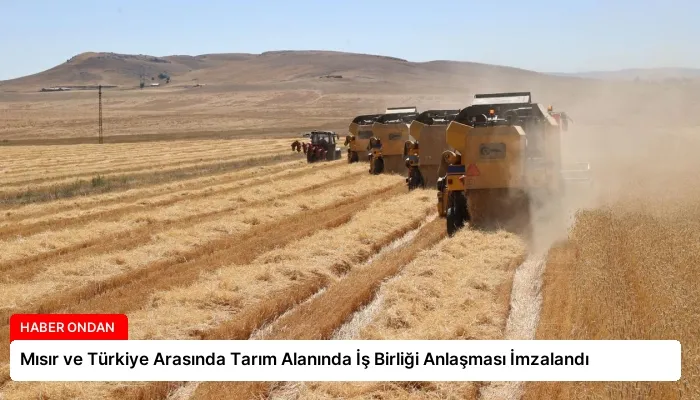 Mısır ve Türkiye Arasında Tarım Alanında İş Birliği Anlaşması İmzalandı