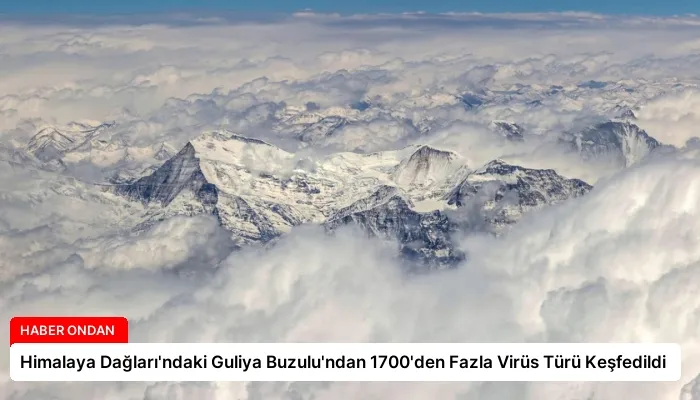 Himalaya Dağları’ndaki Guliya Buzulu’ndan 1700’den Fazla Virüs Türü Keşfedildi