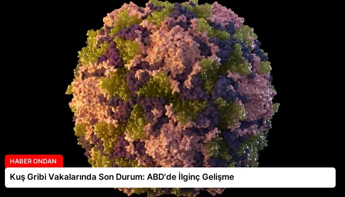 Kuş Gribi Vakalarında Son Durum: ABD’de İlginç Gelişme