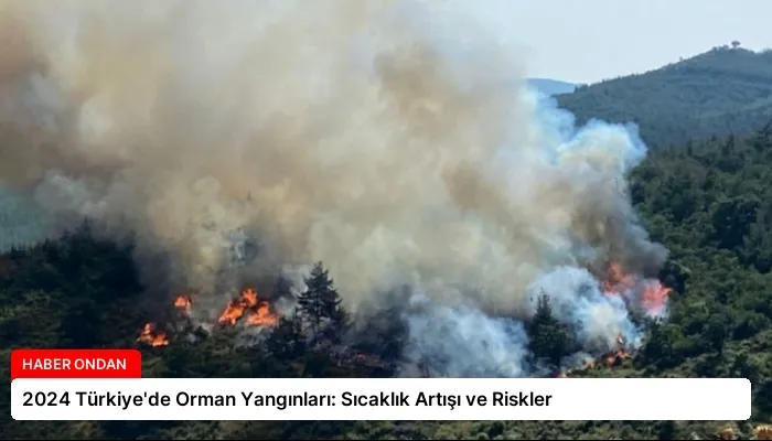 2024 Türkiye’de Orman Yangınları: Sıcaklık Artışı ve Riskler