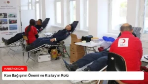 Kan Bağışının Önemi ve Kızılay’ın Rolü