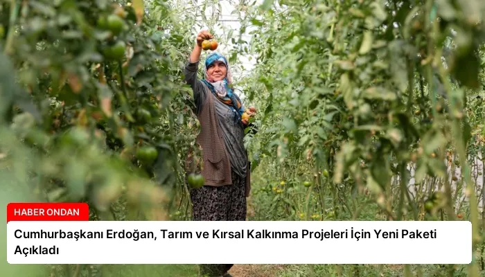 Cumhurbaşkanı Erdoğan, Tarım ve Kırsal Kalkınma Projeleri İçin Yeni Paketi Açıkladı