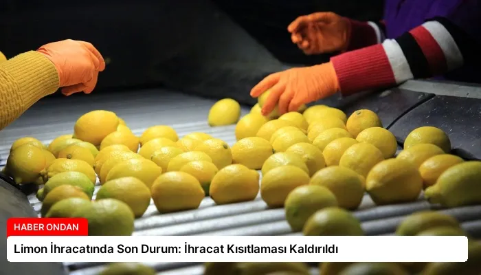 Limon İhracatında Son Durum: İhracat Kısıtlaması Kaldırıldı