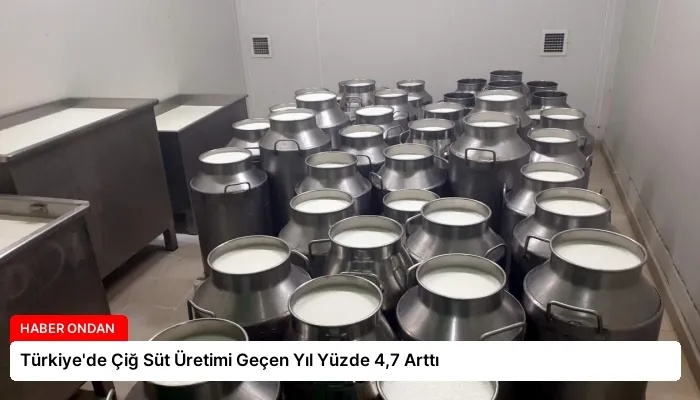 Türkiye’de Çiğ Süt Üretimi Geçen Yıl Yüzde 4,7 Arttı