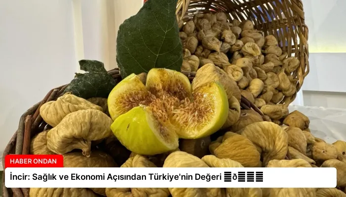 İncir: Sağlık ve Ekonomi Açısından Türkiye’nin Değeri ⏬👇