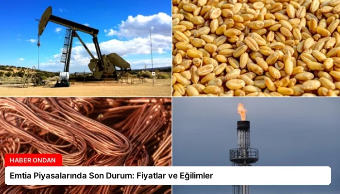 Emtia Piyasalarında Son Durum: Fiyatlar ve Eğilimler