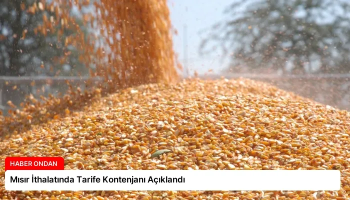 Mısır İthalatında Tarife Kontenjanı Açıklandı