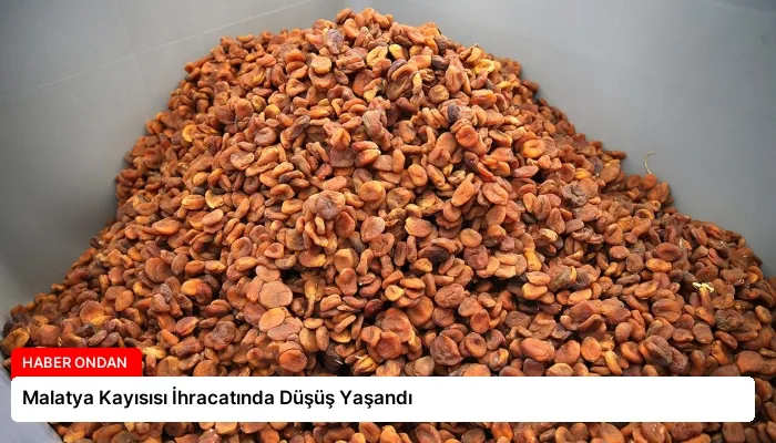 Malatya Kayısısı İhracatında Düşüş Yaşandı