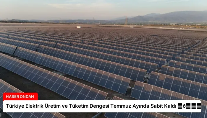 Türkiye Elektrik Üretim ve Tüketim Dengesi Temmuz Ayında Sabit Kaldı ⏬👇