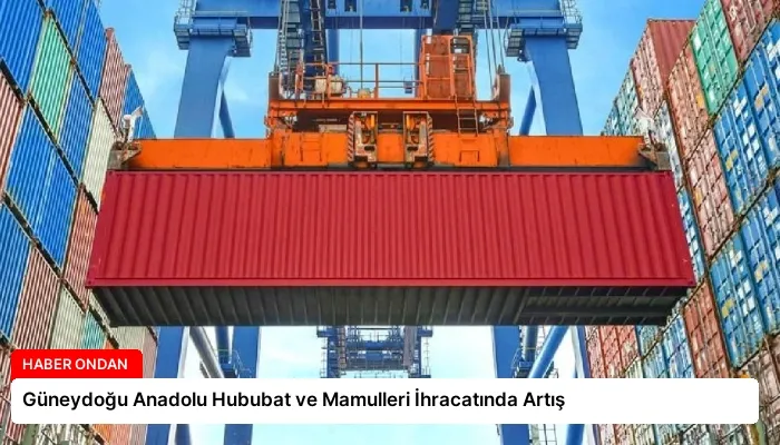 Güneydoğu Anadolu Hububat ve Mamulleri İhracatında Artış