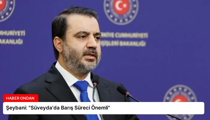Şeybani: “Süveyda’da Barış Süreci Önemli”