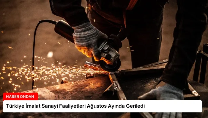 Türkiye İmalat Sanayi Faaliyetleri Ağustos Ayında Geriledi