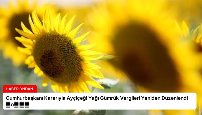 Cumhurbaşkanı Kararıyla Ayçiçeği Yağı Gümrük Vergileri Yeniden Düzenlendi ⏬👇