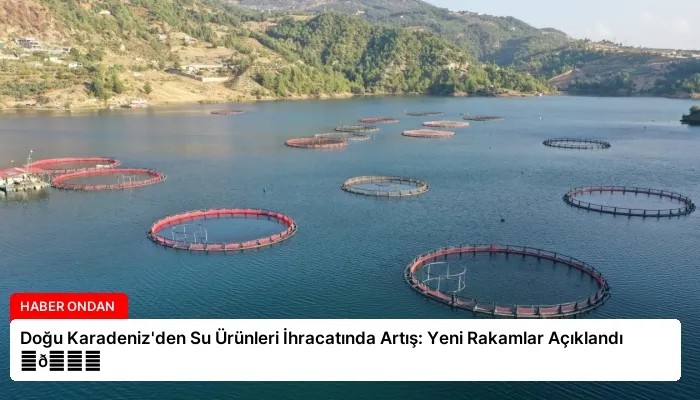 Doğu Karadeniz’den Su Ürünleri İhracatında Artış: Yeni Rakamlar Açıklandı ⏬👇