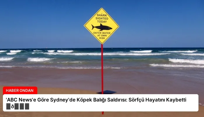 ‘ABC News’e Göre Sydney’de Köpek Balığı Saldırısı: Sörfçü Hayatını Kaybetti ⏬👇