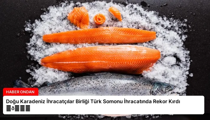 Doğu Karadeniz İhracatçılar Birliği Türk Somonu İhracatında Rekor Kırdı ⏬👇