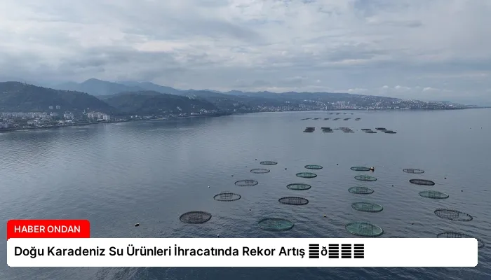 Doğu Karadeniz Su Ürünleri İhracatında Rekor Artış ⏬👇