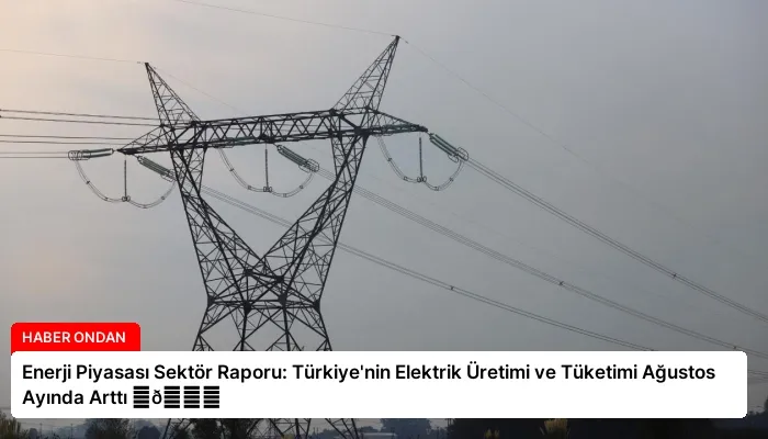 Enerji Piyasası Sektör Raporu: Türkiye’nin Elektrik Üretimi ve Tüketimi Ağustos Ayında Arttı ⏬👇