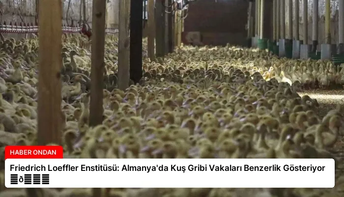 Friedrich Loeffler Enstitüsü: Almanya’da Kuş Gribi Vakaları Benzerlik Gösteriyor ⏬👇