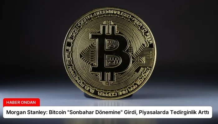 Morgan Stanley: Bitcoin “Sonbahar Dönemine” Girdi, Piyasalarda Tedirginlik Arttı