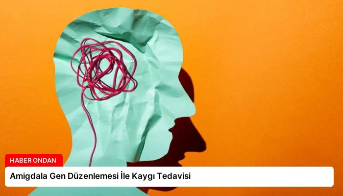 Amigdala Gen Düzenlemesi İle Kaygı Tedavisi