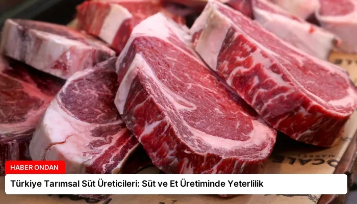 Türkiye Tarımsal Süt Üreticileri: Süt ve Et Üretiminde Yeterlilik