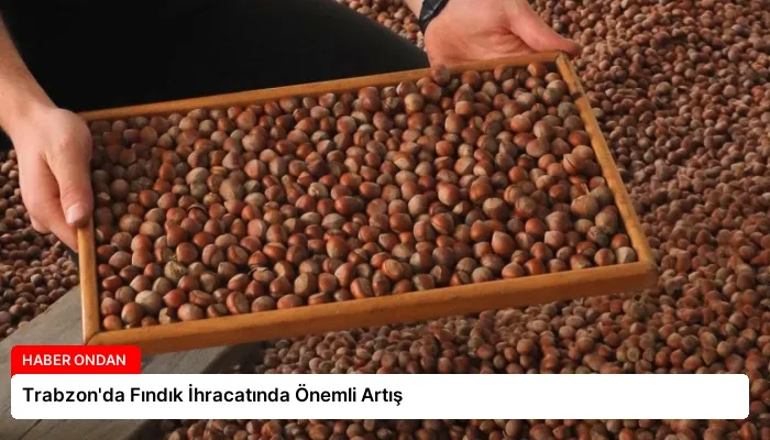 Trabzon’da Fındık İhracatında Önemli Artış