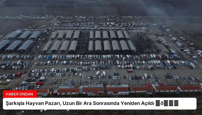 Şarkışla Hayvan Pazarı, Uzun Bir Ara Sonrasında Yeniden Açıldı ⏬👇