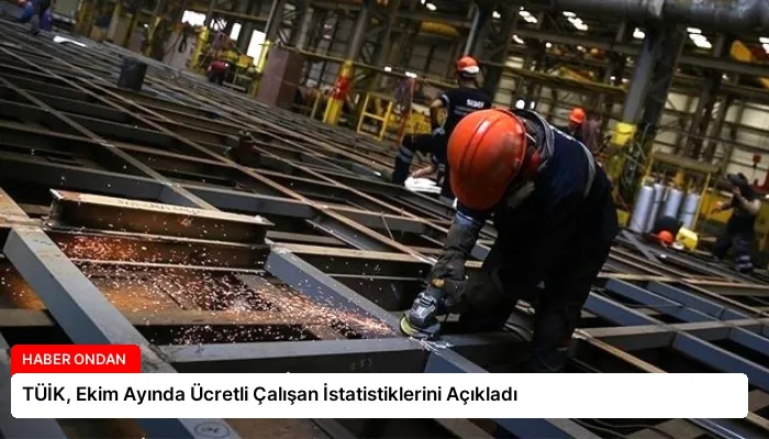 TÜİK, Ekim Ayında Ücretli Çalışan İstatistiklerini Açıkladı