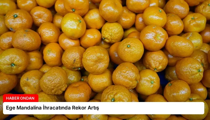 Ege Mandalina İhracatında Rekor Artış