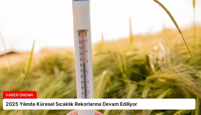 2025 Yılında Küresel Sıcaklık Rekorlarına Devam Ediliyor