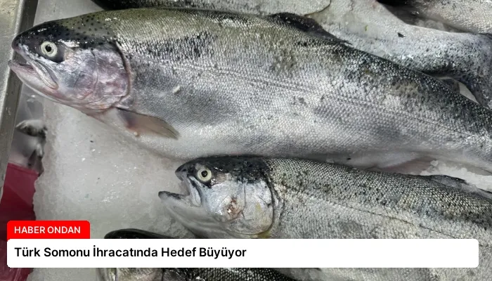 Türk Somonu İhracatında Hedef Büyüyor