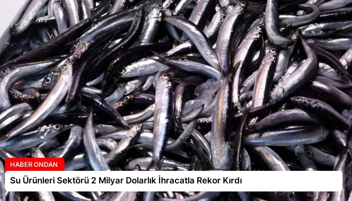 Su Ürünleri Sektörü 2 Milyar Dolarlık İhracatla Rekor Kırdı