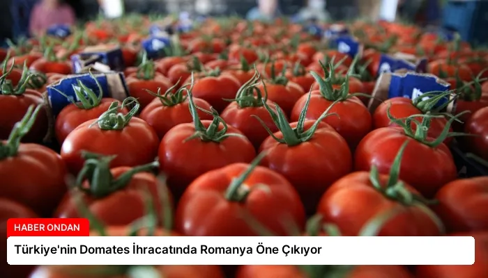 Türkiye’nin Domates İhracatında Romanya Öne Çıkıyor
