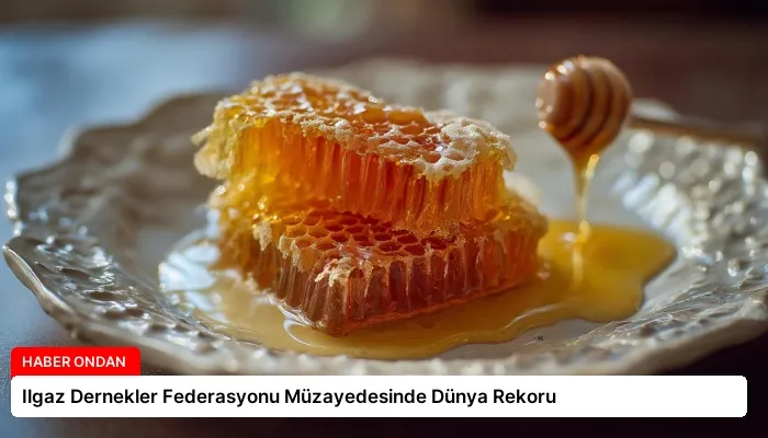Ilgaz Dernekler Federasyonu Müzayedesinde Dünya Rekoru