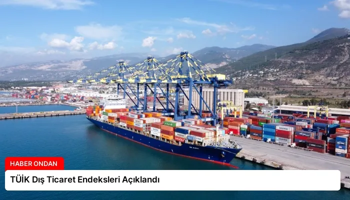TÜİK Dış Ticaret Endeksleri Açıklandı