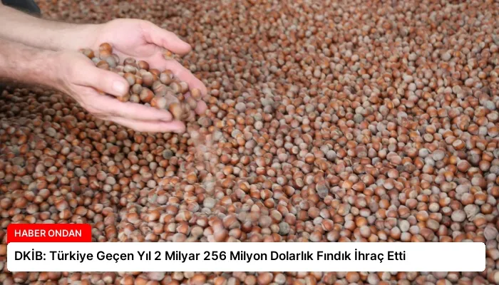 DKİB: Türkiye Geçen Yıl 2 Milyar 256 Milyon Dolarlık Fındık İhraç Etti