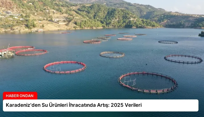 Karadeniz’den Su Ürünleri İhracatında Artış: 2025 Verileri