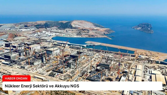Nükleer Enerji Sektörü ve Akkuyu NGS