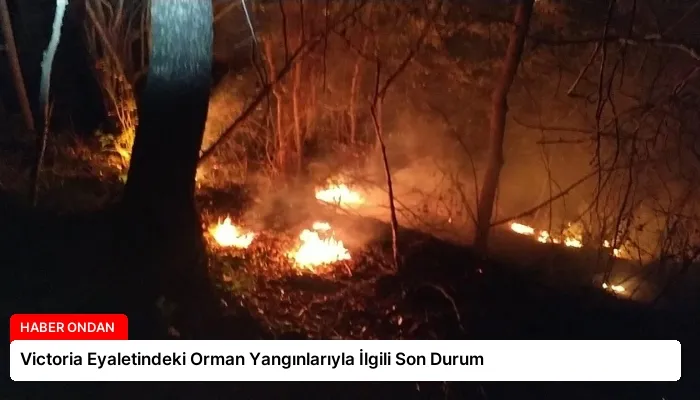 Victoria Eyaletindeki Orman Yangınlarıyla İlgili Son Durum